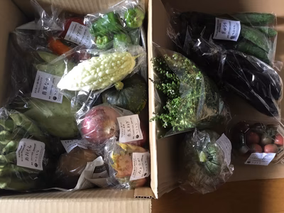 みんなの投稿の画像