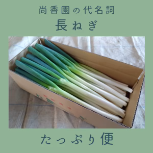 尚香園の代名詞 長ねぎ たっぷり便
