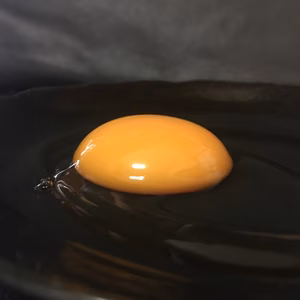 元気な卵！土佐ジローの自然卵