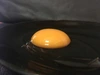 元気な卵！土佐ジローの自然卵［40個］
