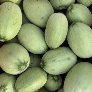 西河農園のベビーメロン！　(摘果メロン)