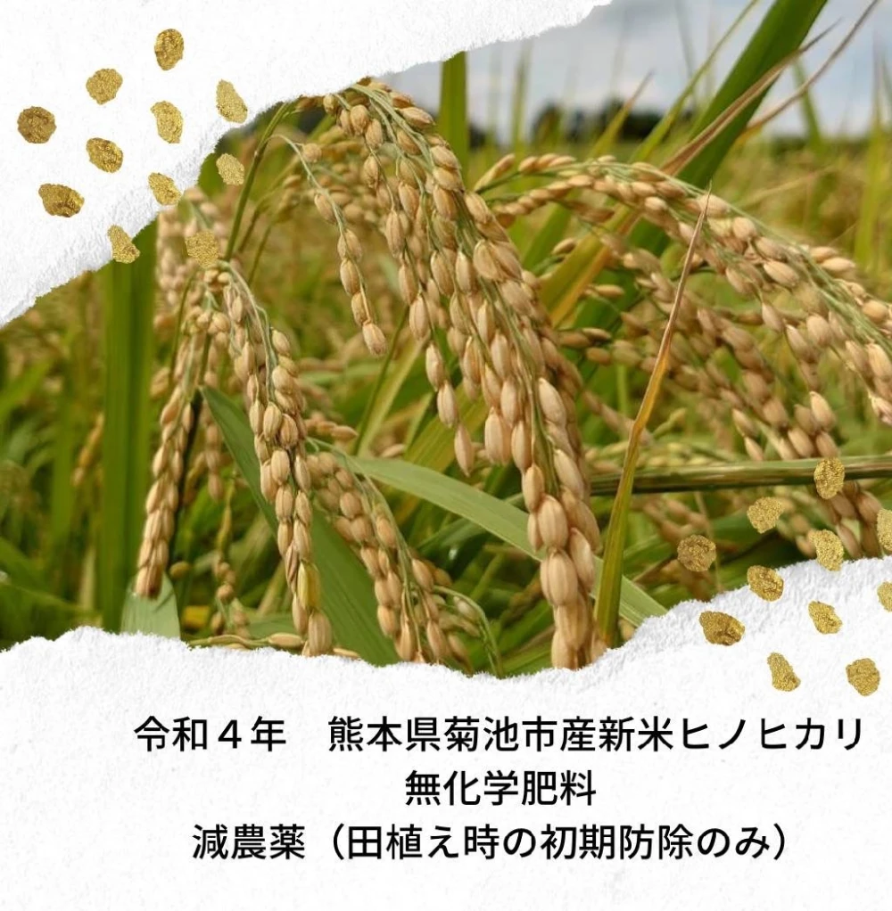 菊池米】令和４年新米ヒノヒカリ 無化学肥料・減農薬｜米・穀類の商品