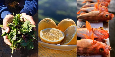 新型コロナで困っている肉、野菜、魚、果物の生産者さんを応援！（フードロス、フードレスキュー）