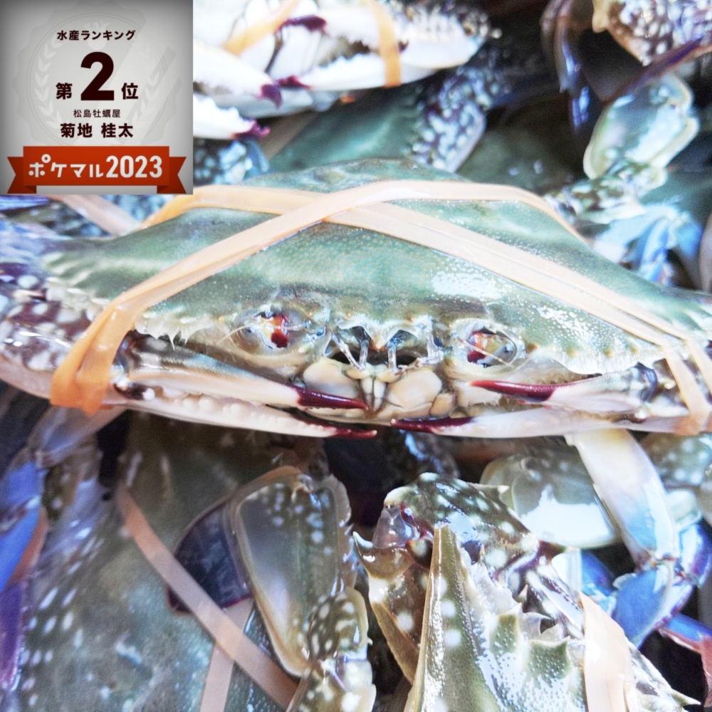 豊漁10％OFF中】冷凍ガザミ メス大サイズ2k～8k ワタリガニ 渡り蟹
