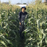 橋場英範 | HASHIBA FARM