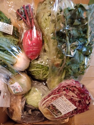 みんなの投稿の画像