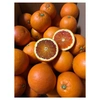 3月限定【タロッコ】国産ブラッドオレンジ2.5kg4.5kg10kgみかん