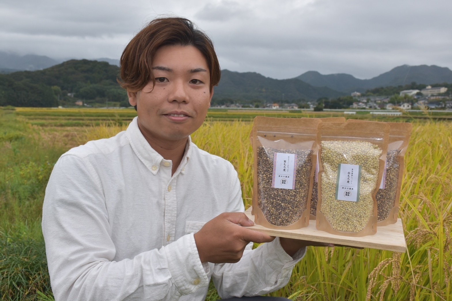 特別価格！】美味しさ保証！神奈川県産はるみ・霜島農園の安全で新鮮なお米をお届けします！ - 食品