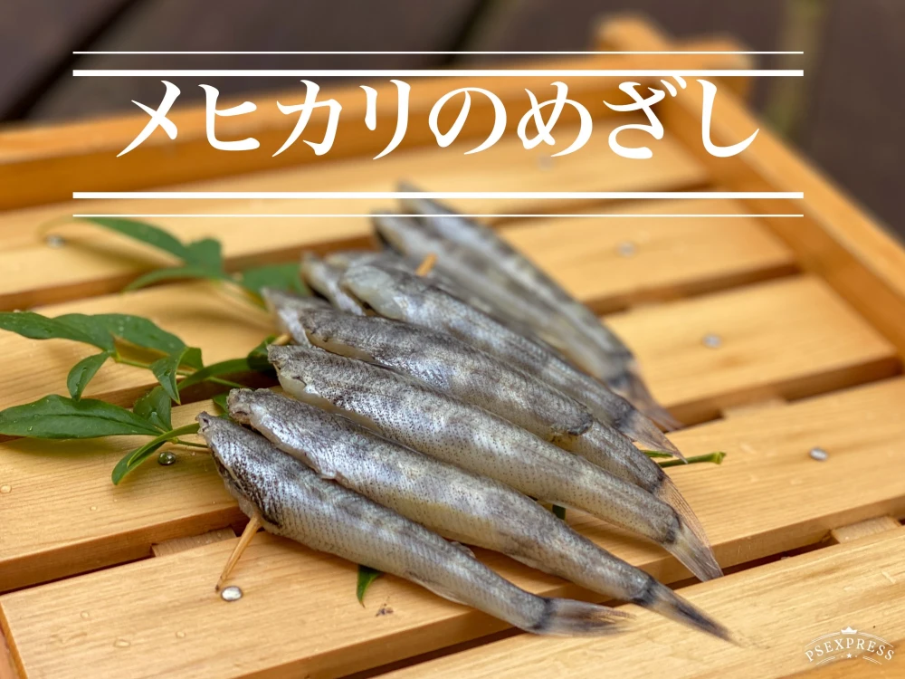 【小さい子ボッチには手をかけろ】メヒカリ中小800g