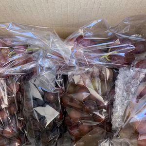 昔からの伝統の葡萄！ピオーネを割安価格でお楽しみくださいませ❣️