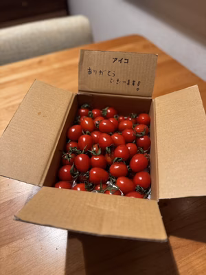 みんなの投稿の画像