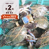 20％OFF 冷凍発送 オス特大3kg～6kg ワタリガニ 渡り蟹 ガサミ雄