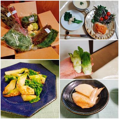 みんなの投稿の画像