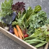 旬の野菜セットM/8-10品目【自然栽培】無肥料無農薬