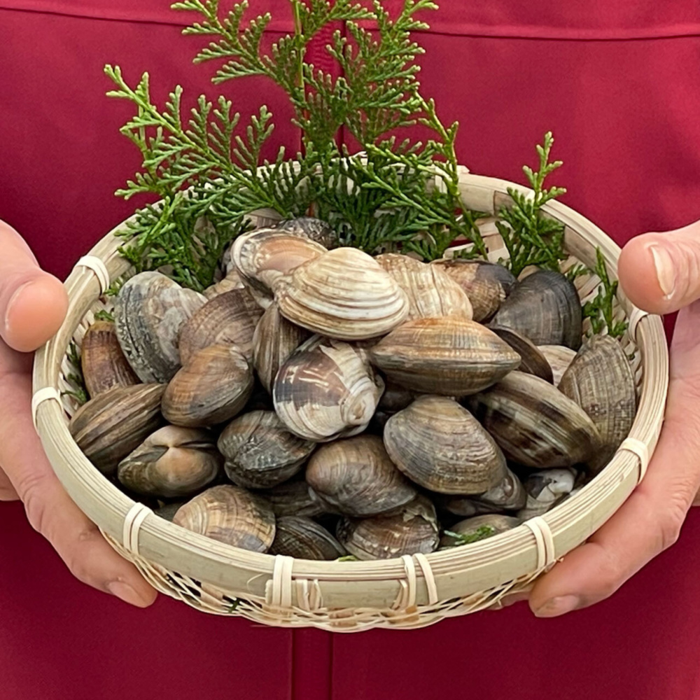 さりひめ】完全国産 活あさり1kg｜アサリの商品詳細｜ポケットマルシェ