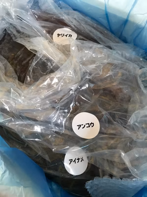 みんなの投稿の画像