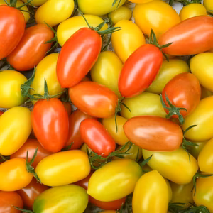 猛暑よ　サラバ！ミニトマト＆四角豆＆シシトウ＆いんげん～農薬不使用