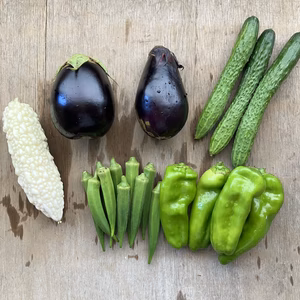 プチサイズ　野菜セット〜60サイズ〜