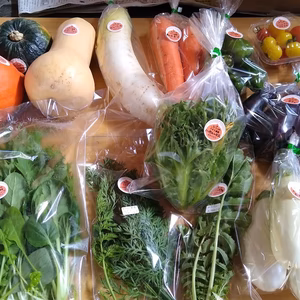 おまかせ野菜セット 北海道富良野産