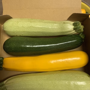 ②最安値！東京産！新鮮3色ズッキーニセット^ ^