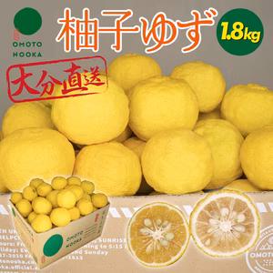 【標準品】大分県宇佐市産 柚子ユズ（1.8kg 約14～24個）