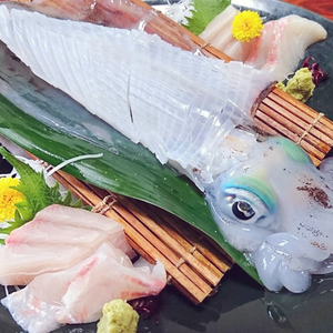 【長崎五島産】アオリイカ1kg（冷凍）食卓を彩る最高級イカをどうぞ！漁師直送