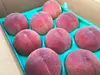 福島桑折町亀岡果樹園の桃 中生品種おまかせ 2kg箱（6～8玉） 通常品