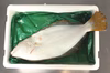 鮮度抜群！ 船上活〆！ ヒラメ 大サイズ 1.3Kg 北海道産
