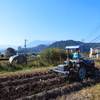 【残り僅か！】規格外品さつま芋「紅はるか10kg」（大分県産・自然栽培）
