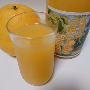 愛媛県産　うわごーるど(河内晩柑)ジュース