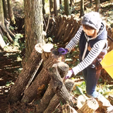 原田美紀 | 合同会社　原田山業