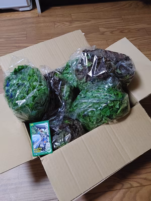 みんなの投稿の画像