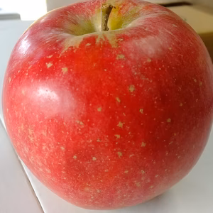 【訳あり】減農薬シナノスイート