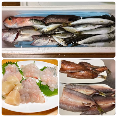 みんなの投稿の画像