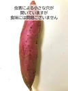 有機さつま芋（熟成した甘さ・紅はるか）訳あり品 3kg・4.5㎏