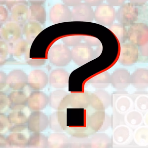 『何が届くかお楽しみ!!』約4.5Kg【ミステリアス味自慢セット】りんご