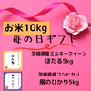 【母の日ギフト】ミルキークイーンとコシヒカリの10㎏のお米セット(梅）