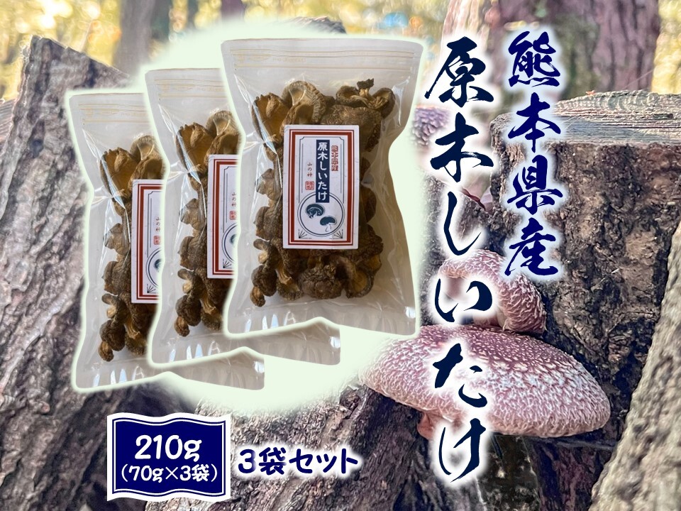 うまさ凝縮！熊本県産原木乾燥しいたけ210g～350g｜しいたけの商品