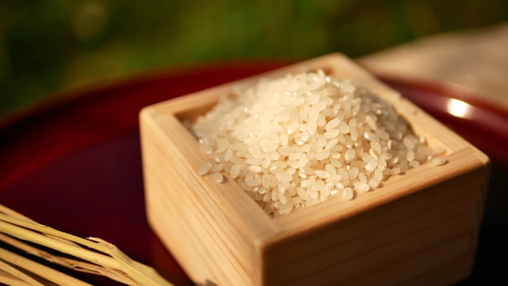 2023年新米！【自然栽培の神力】白米～～神から賜ったお米～～