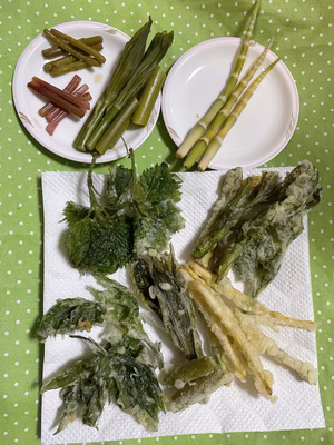 みんなの投稿の画像