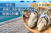 広島産カキ小町（希少品種）殻付き牡蠣 2kg（1年中楽しめる特別な広島かき）