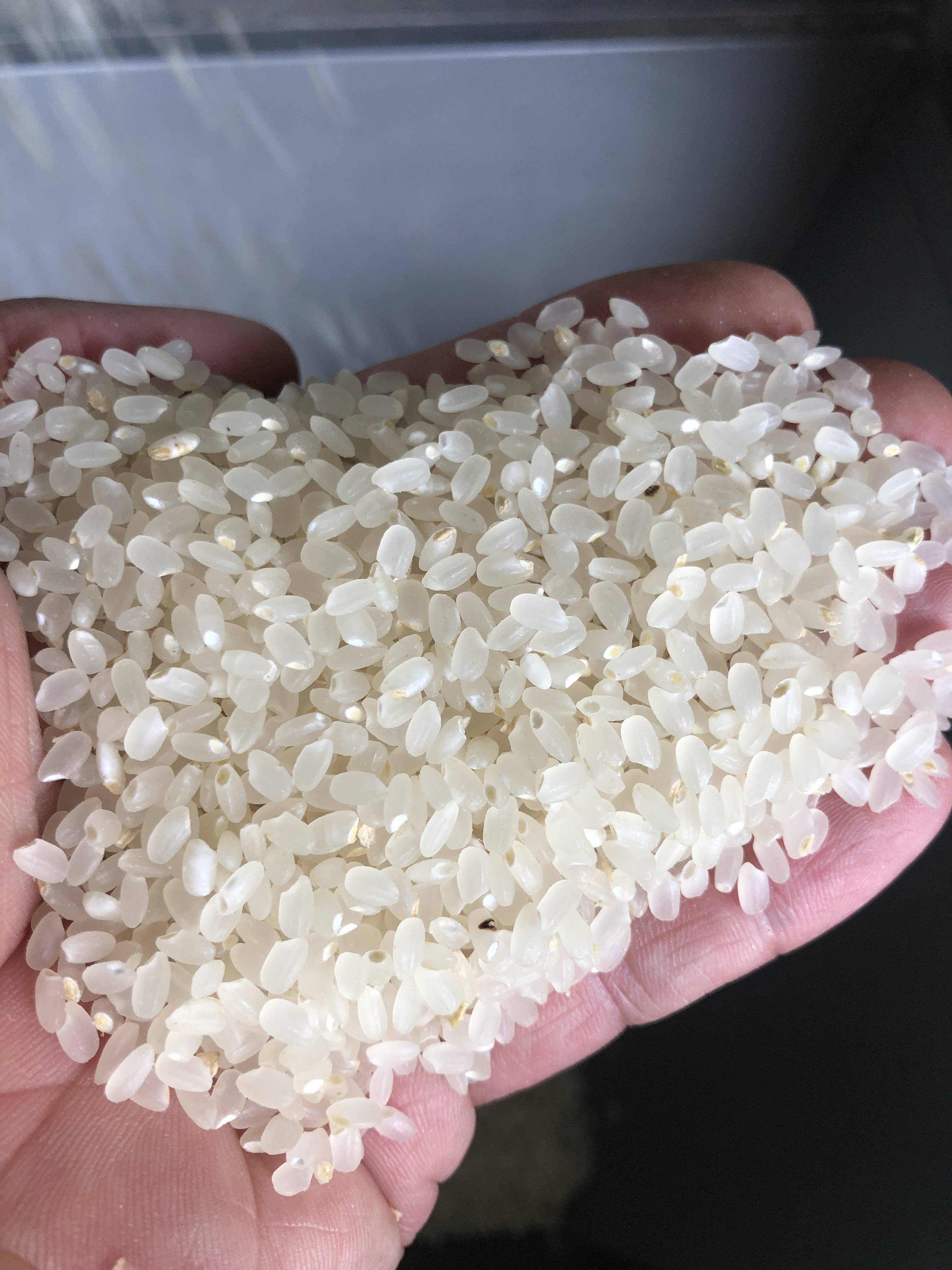 岩手県盛岡市産 田村ふぁーむ令和7年産『銀河のしずく』精米5kg 銀河のしずく精米5kg