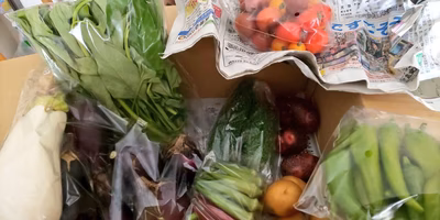 みんなの投稿の画像