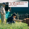 〖放牧デュロック豚・保冷袋〗肩ロース薄切りスライス（冷凍）200g×３パック