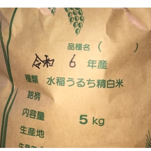 南信州高原コシヒカリ　10キロ（5キロ×2）