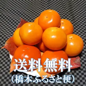 【最終】晩秋の香り 富有柿 大きさいろいろ(ご家庭用・9～11個)