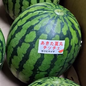 甘い！うまい！小玉スイカだけどデカい！＜大玉１個＞