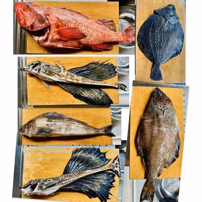 みんなの投稿の画像