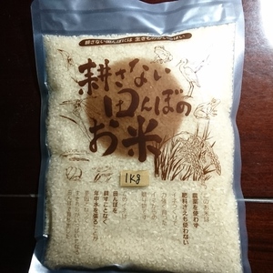 令和3年産冬季湛水不耕起栽培米 (いのちの壱）玄米5kg五分搗き5kｇ