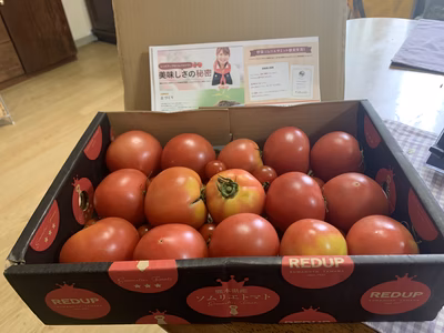 みんなの投稿の画像